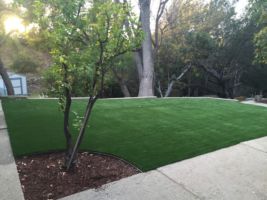 Synthetic Lawn we installed.